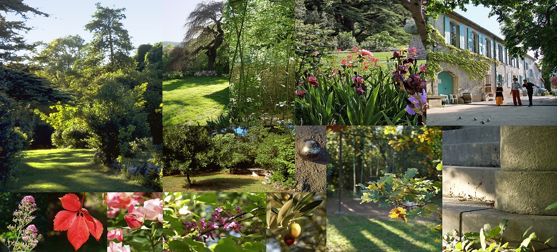 a stroll in the gardens