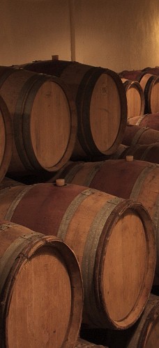 Wein braucht Zeit und Ruhe...