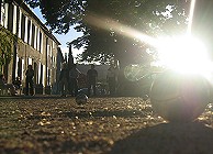 "boules" in front of the house