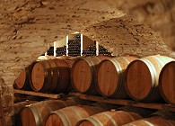 Pic Saint Loup cellar