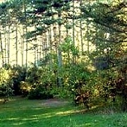 der Park